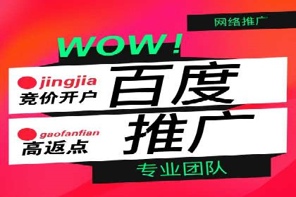 百度竞价广告成功案例集锦：如何玩转搜索引擎营销